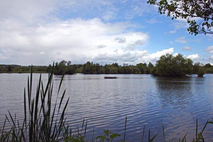 Stockers lake